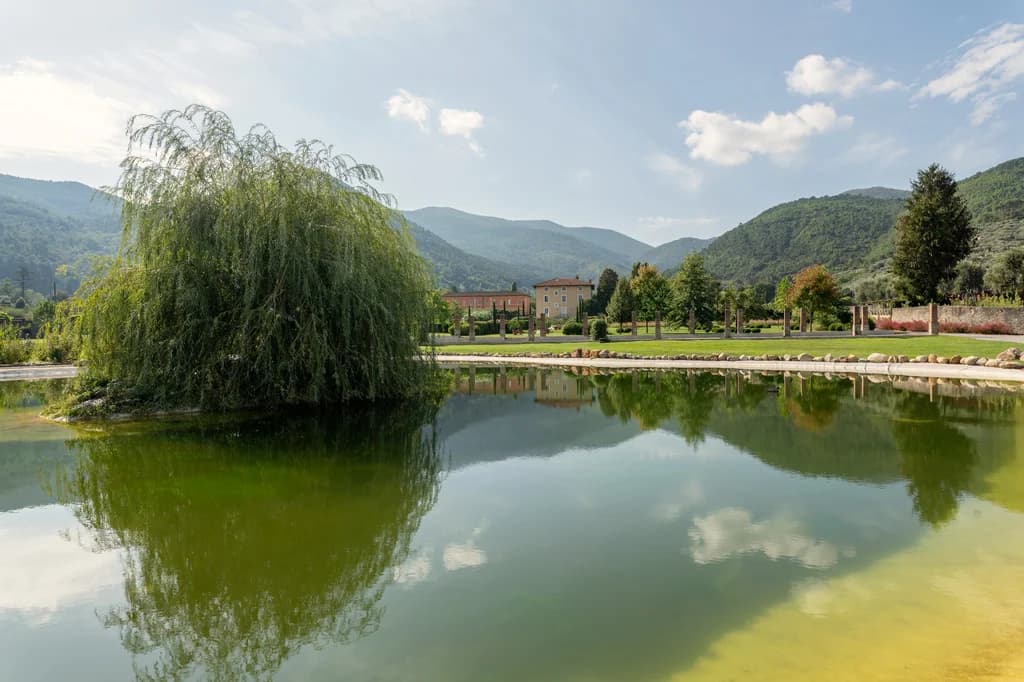 Villa Elisa natural pond landscape with weeping willow, Lucca, Tuscany, Italy