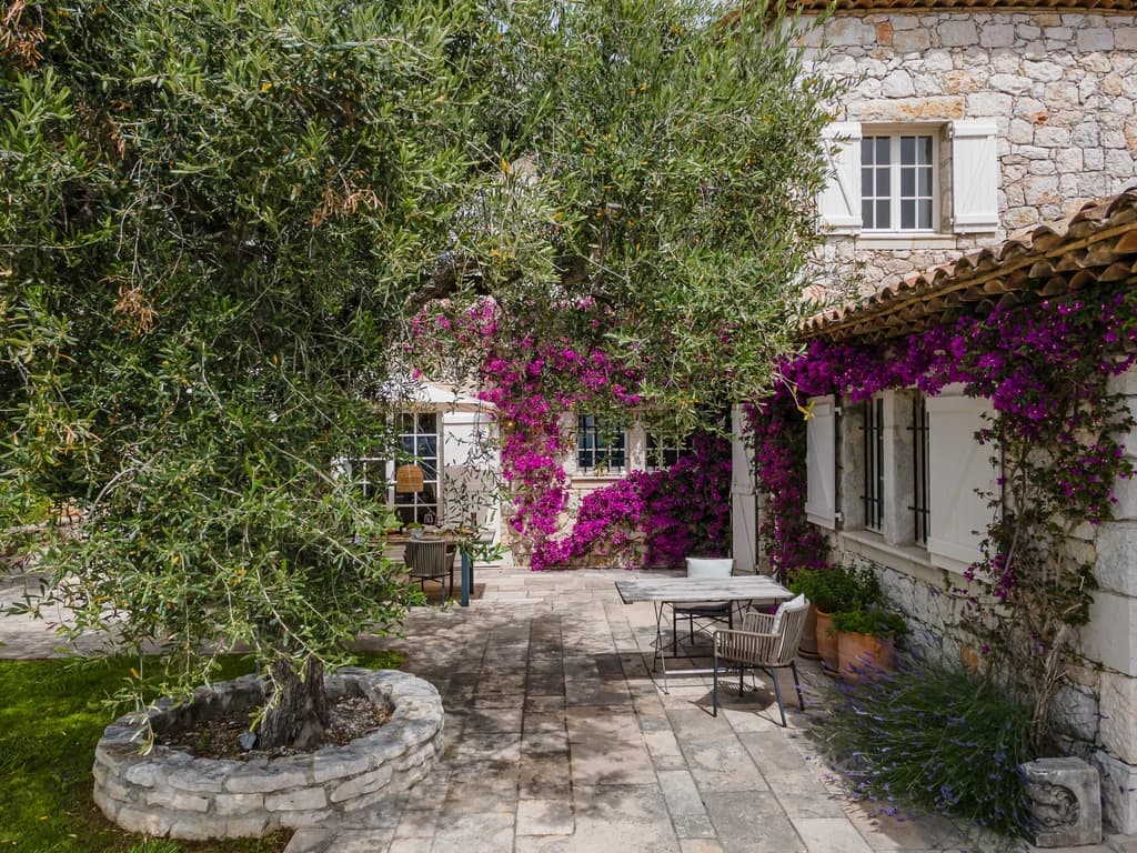 Bastide Splendide courtyard terrace with olive trees and bougainvillea, Vence, France