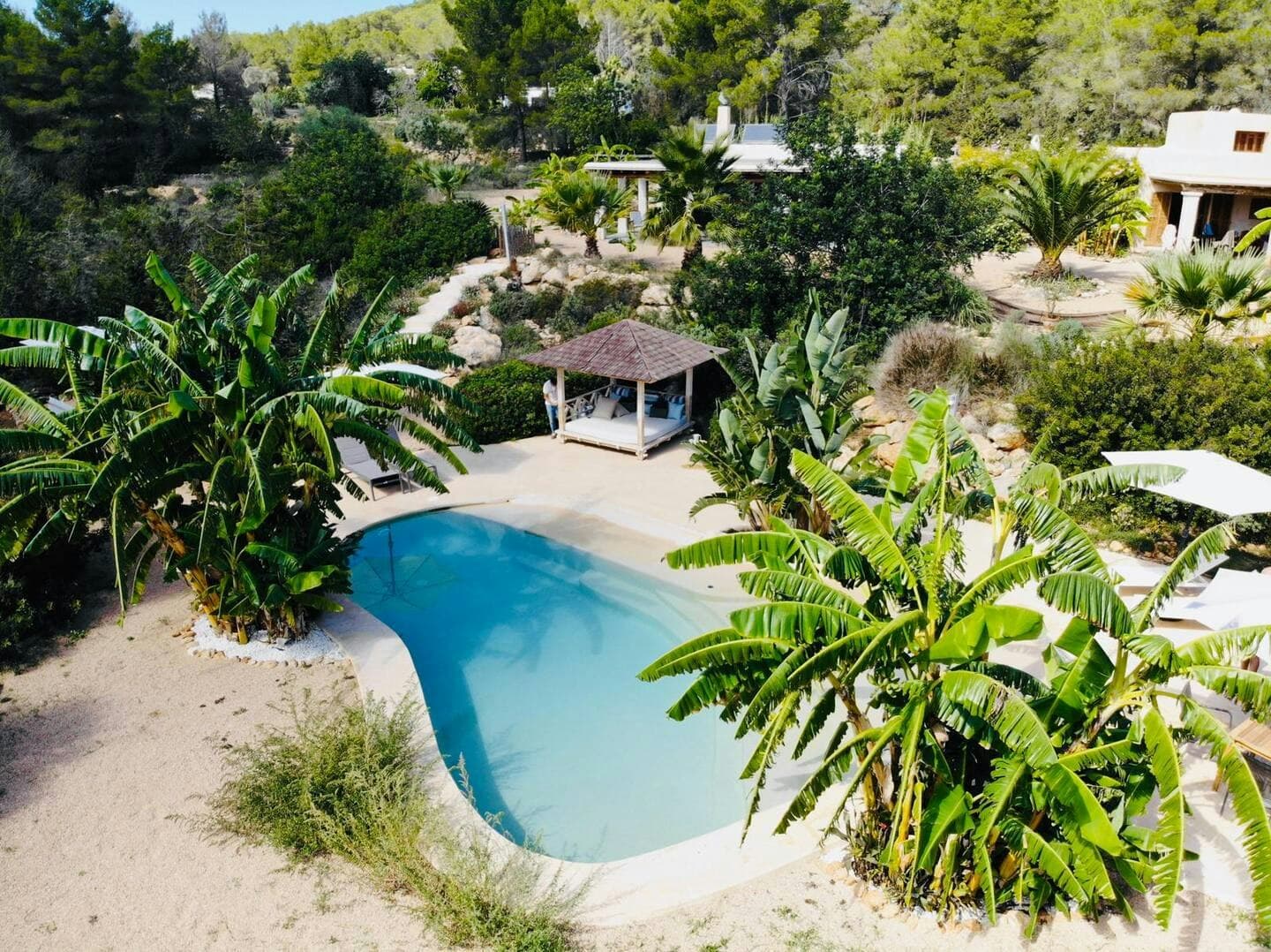 Almond Flower villa aerial view of freeform pool and tropical gardens, Sant Antoni de Portmany, Spain
