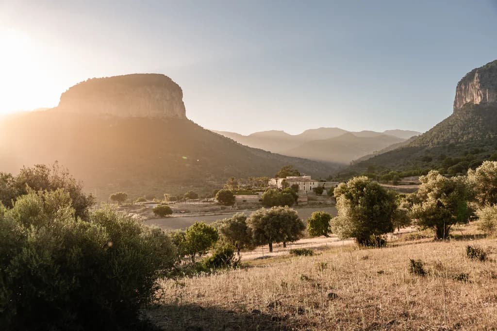 Spirit of Son Fuster valley and mountain view at golden hour, Campanet, Majorca, Spain